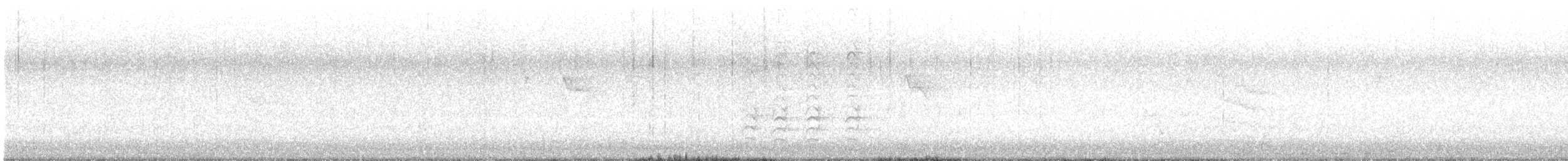 skjeggparakitt - ML646392602