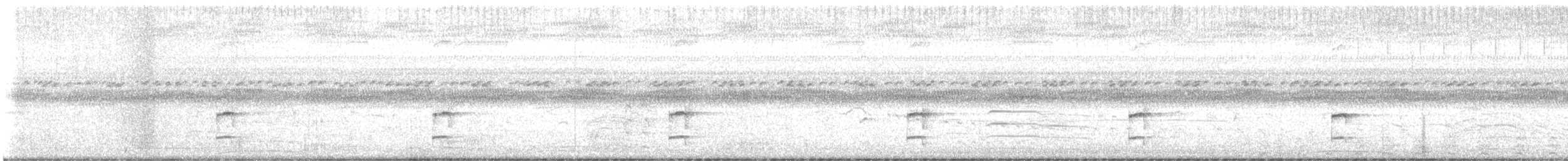 Polluela Sora - ML646392807