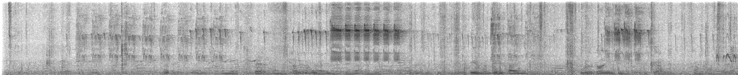 Рыжая сибия - ML646393489