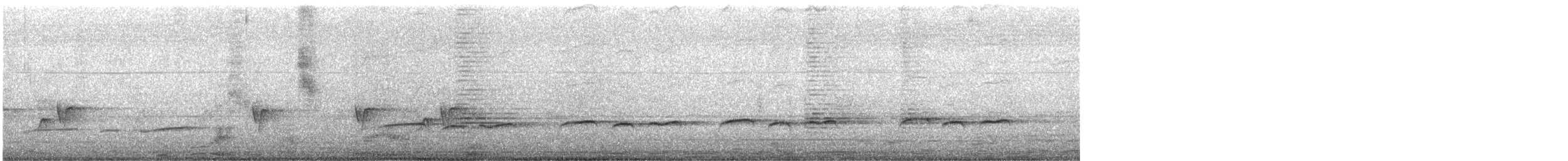 Plaintive Cuckoo - ML646393597