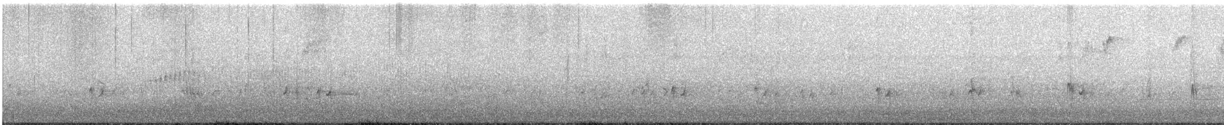 Серый шелкохвост - ML646393646