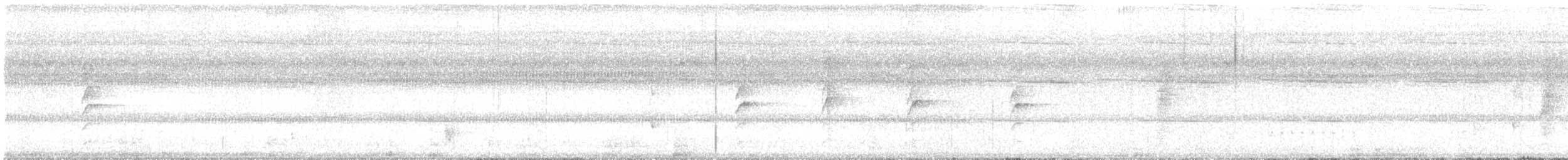 Malaysian Pied-Fantail - ML646393851