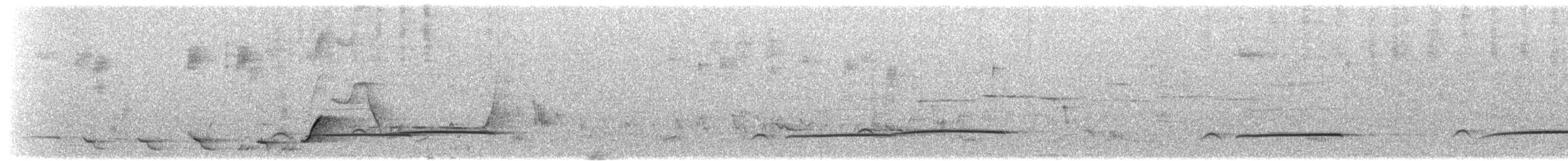 Fan-tailed Cuckoo - ML646393892