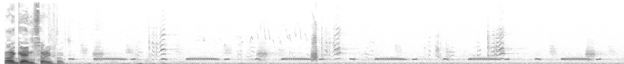 Ring-necked Dove - ML646393990