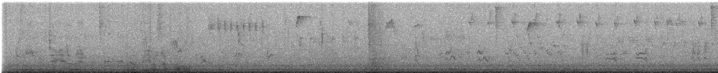 Curve-billed Thrasher - ML646394052