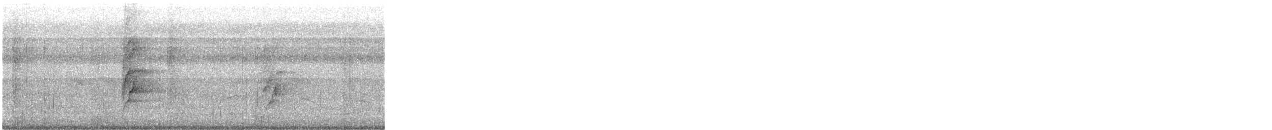 Plum-headed Parakeet - ML646394079