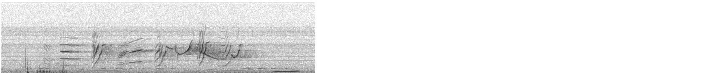 Plum-headed Parakeet - ML646394122