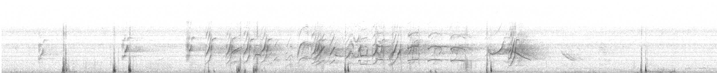 Plum-headed Parakeet - ML646394160