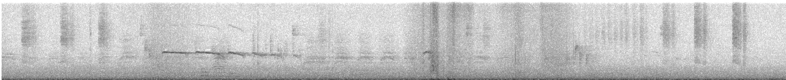 Northern Beardless-Tyrannulet - ML646394877