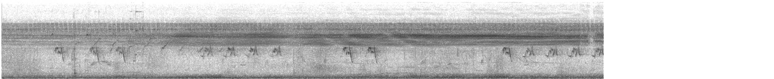 Ashy Prinia - ML646395350