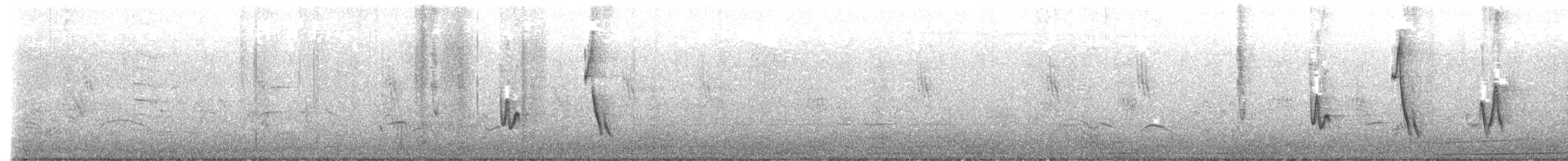 Diuca Finch - ML646395624