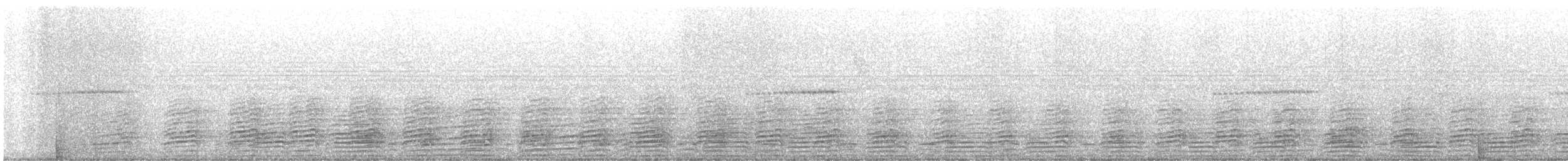 Silvery-cheeked Hornbill - ML646396005