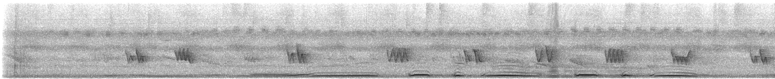 Picazuro Pigeon - ML646396363