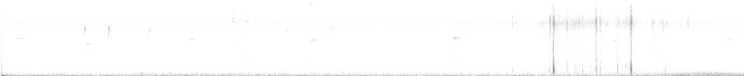 Hairy Woodpecker - ML646396461