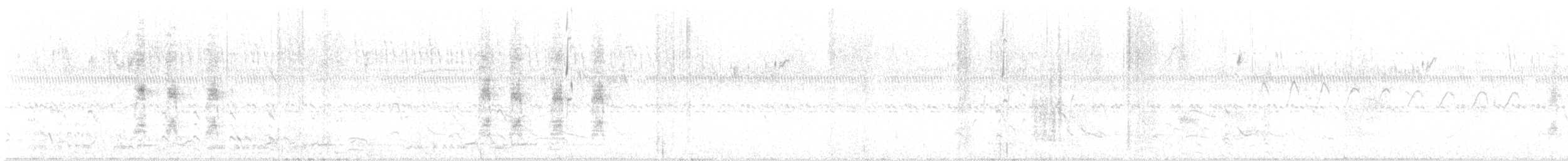 Wilson's Snipe - ML646396487