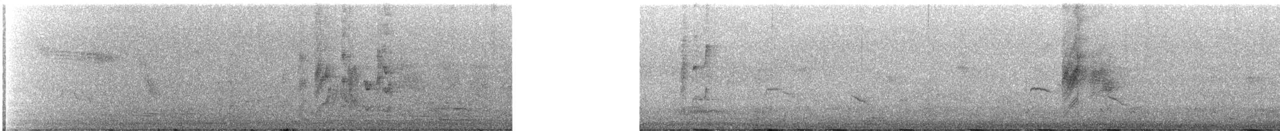 Tchitrec d'Afrique - ML646396631