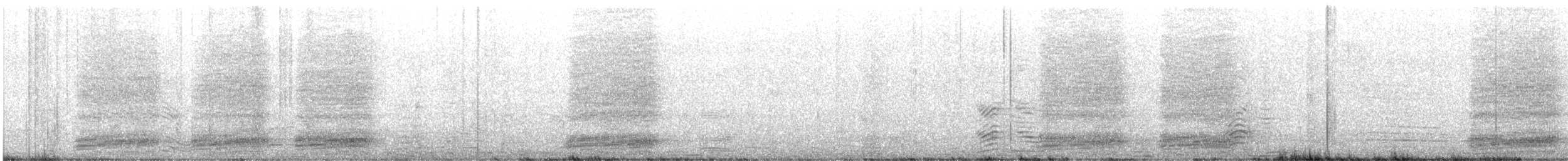 Pied Crow - ML646396640