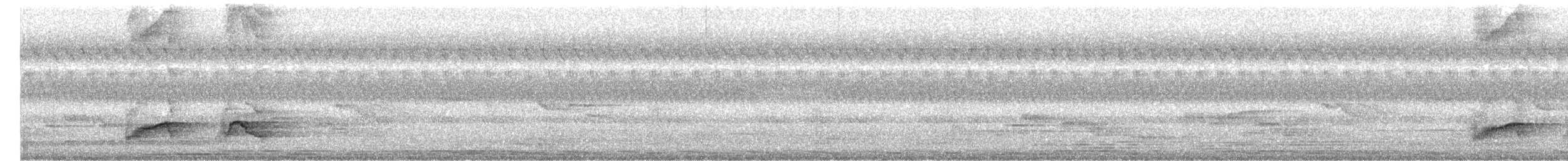 Indian Pitta - ML646396780