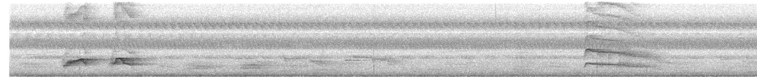 Indian Pitta - ML646396781