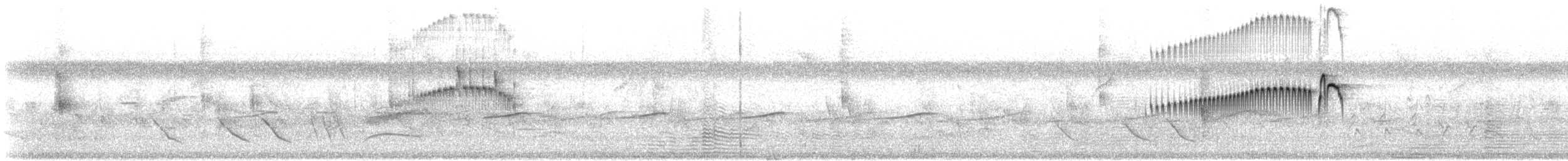 Plain Tyrannulet - ML646396799