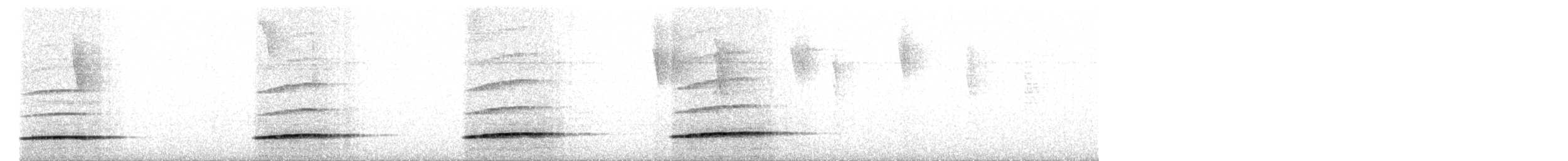 Serra do Divisor Tinamou (undescribed form) - ML646396951