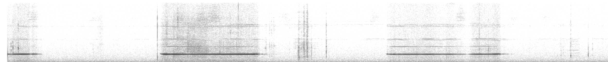 Serra do Divisor Tinamou (undescribed form) - ML646397192