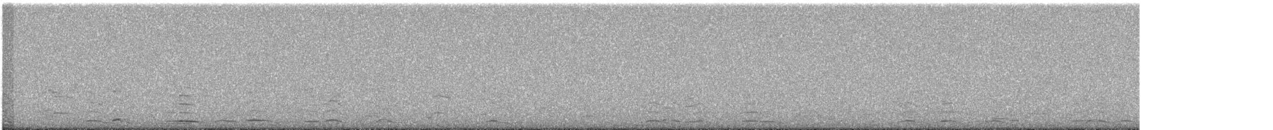 dvergsvane - ML646397211