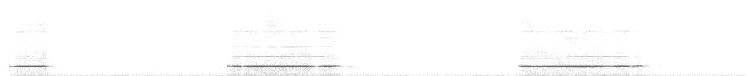 Serra do Divisor Tinamou (undescribed form) - ML646397255