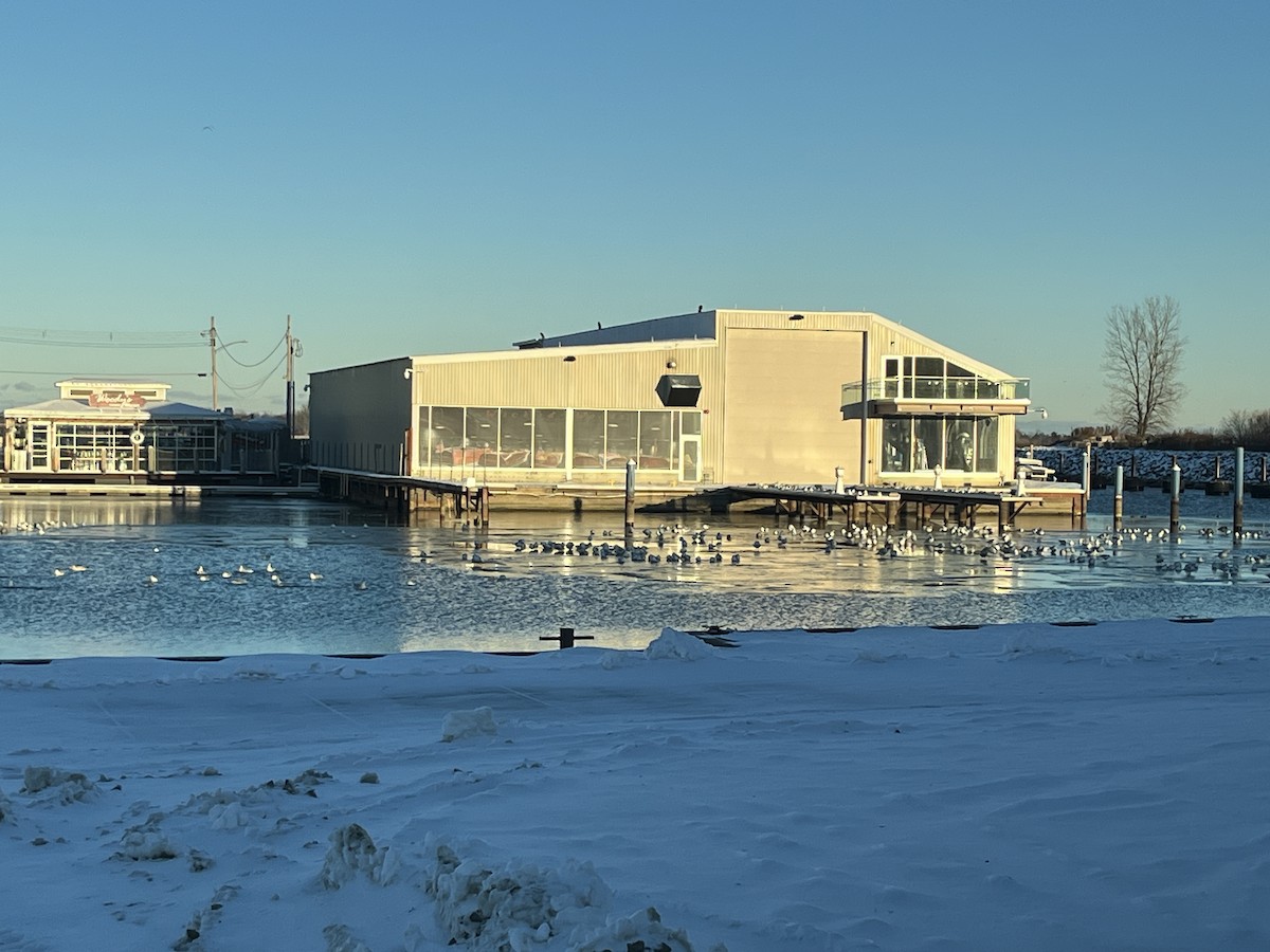 Мартин делаверський - ML646397258