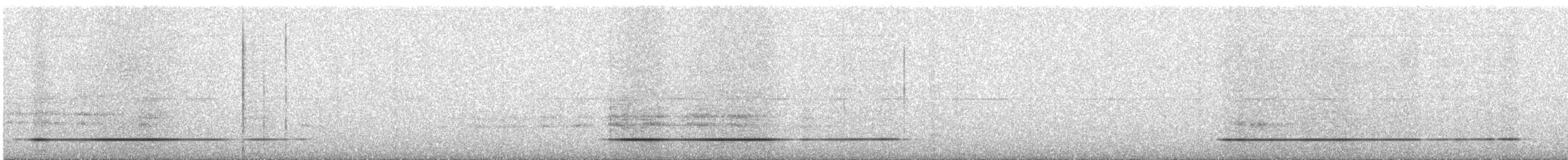 Serra do Divisor Tinamou (undescribed form) - ML646397418