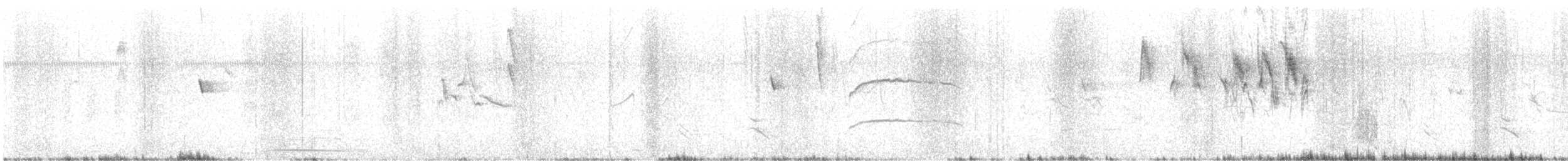 Wilson's Snipe - ML646397495