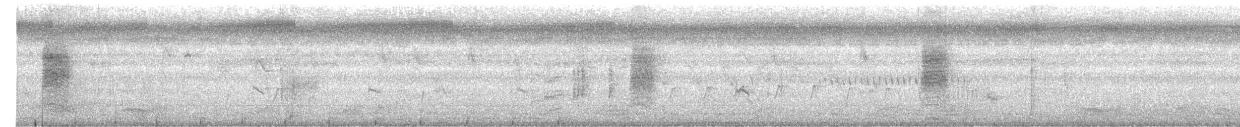 Горобцеподібні sp. (Old World warbler sp.) - ML646397562