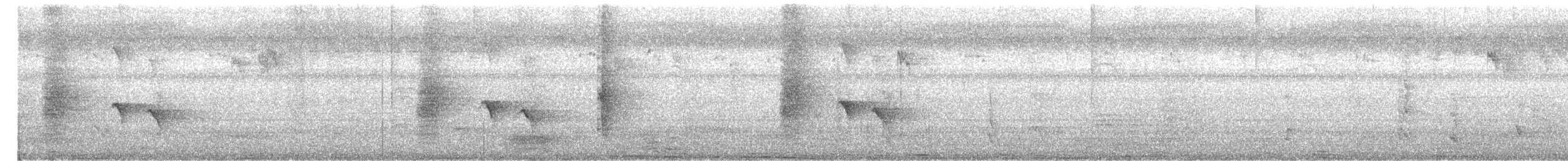 Drongo Cenizo - ML646398281