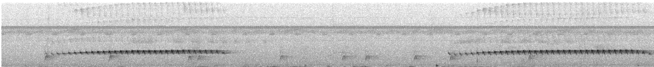 Humaita Antbird - ML646398921