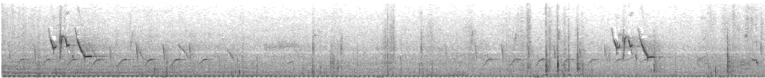 White-browed Wagtail - ML646399058