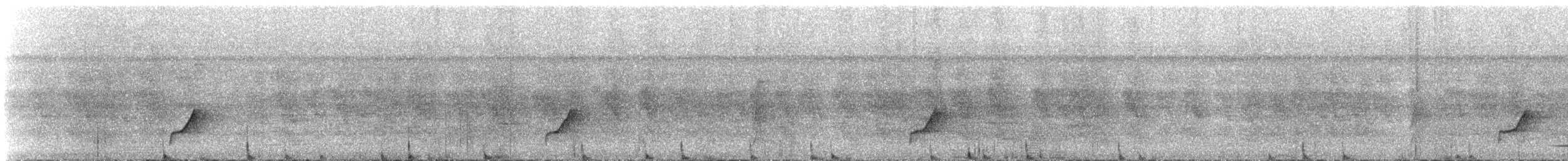 Slender-footed Tyrannulet - ML646399093