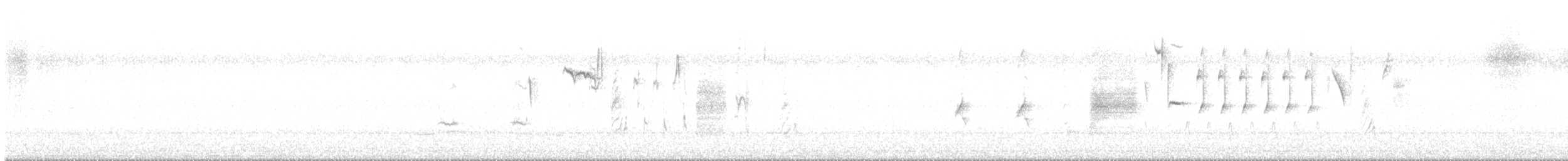 Song Sparrow - ML646399482