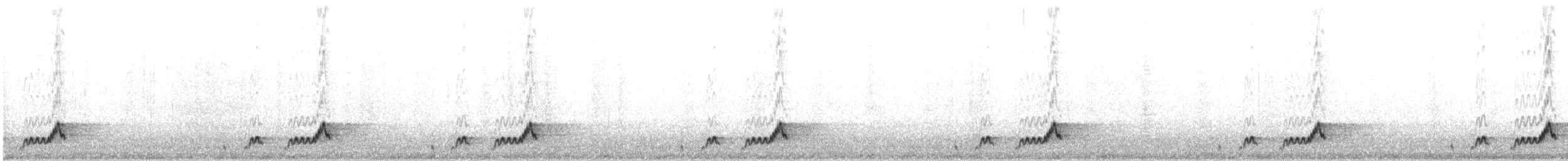 Mexican Whip-poor-will - ML646399708