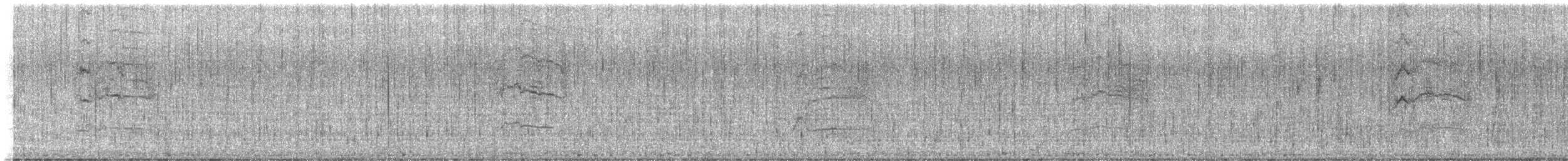 Common Gallinule - ML646400457