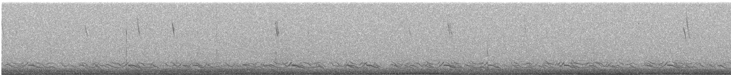 Puna Tinamou - ML646400466