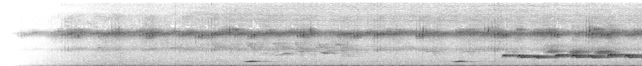 Black-fronted Bushshrike - ML646400470