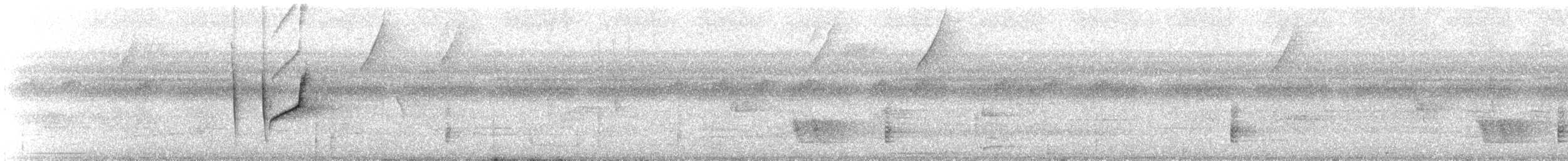 Forest Elaenia - ML646400597