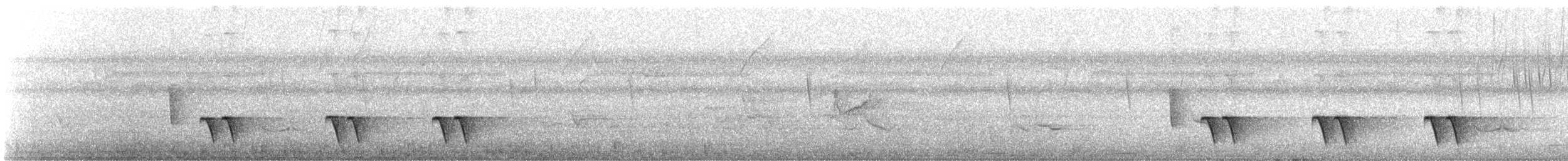 Buff-breasted Wren - ML646400614