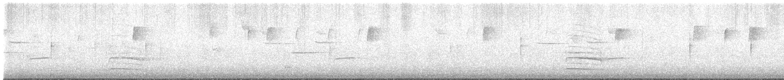 Carolina Chickadee - ML646402290