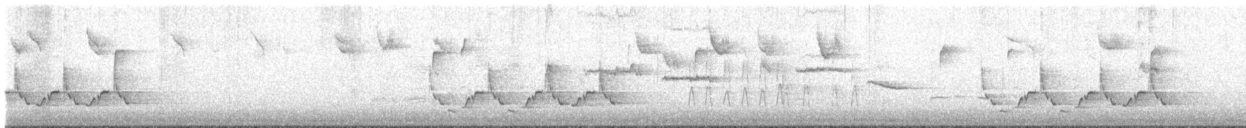 Cucarachero de Carolina - ML646402297