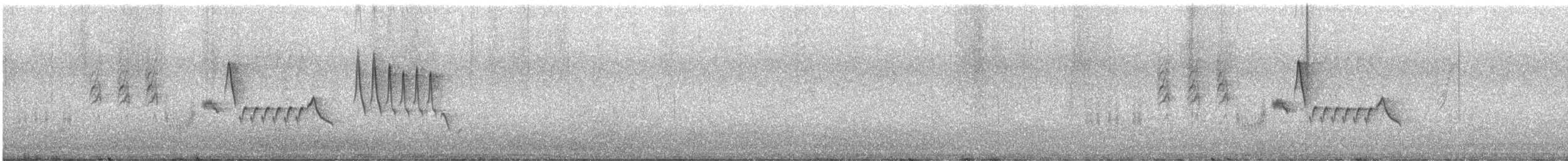 Southern House Wren - ML646402501