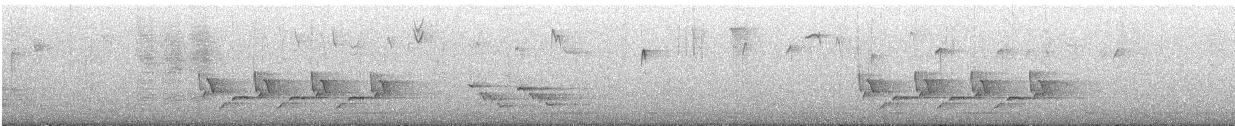 Carolinazaunkönig - ML646402653