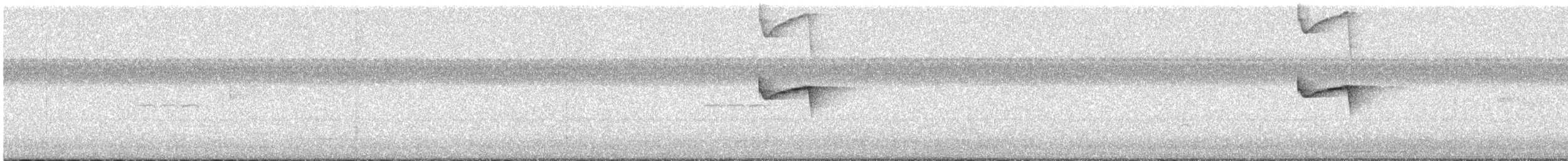 Gelbbauch-Breitschnabeltyrann - ML646403099