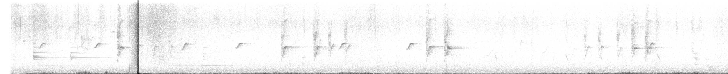 Синехвостка - ML646403184