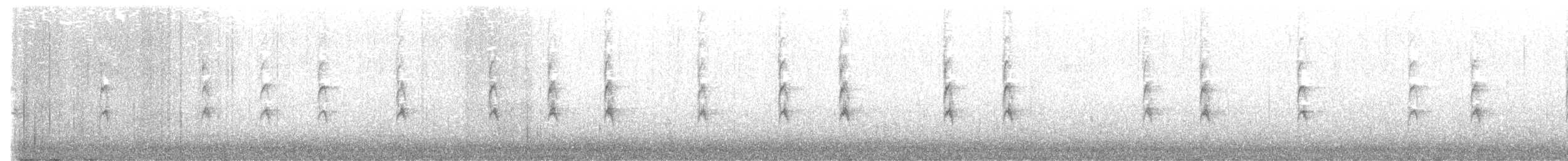 Singammer - ML646403203